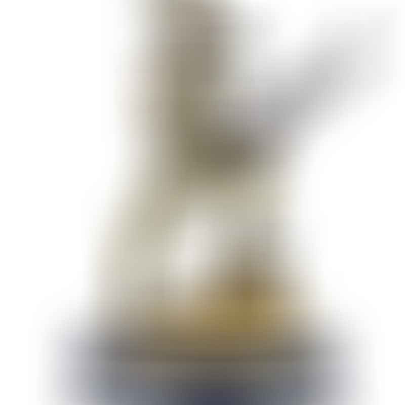 Havildar Ishar Singh (GiM 25)