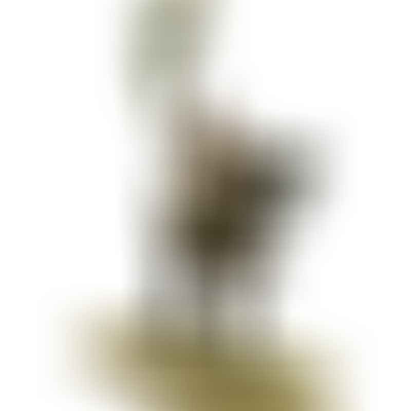 General Jean Rapp (GiM 30)