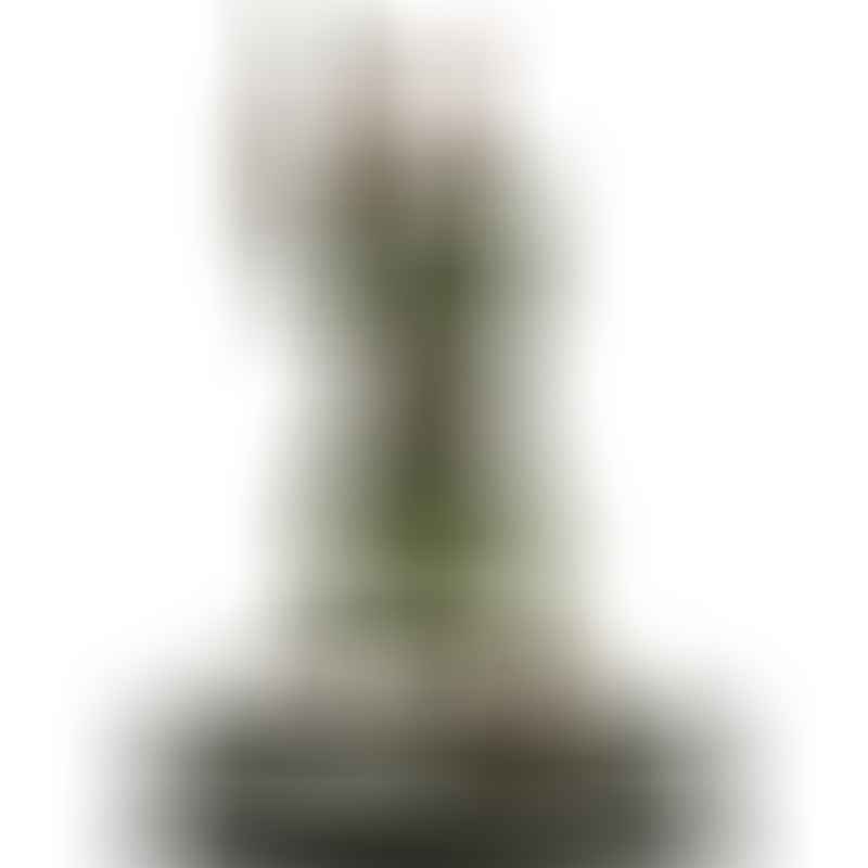 Adrian Carton de Wiart (GiM 36)