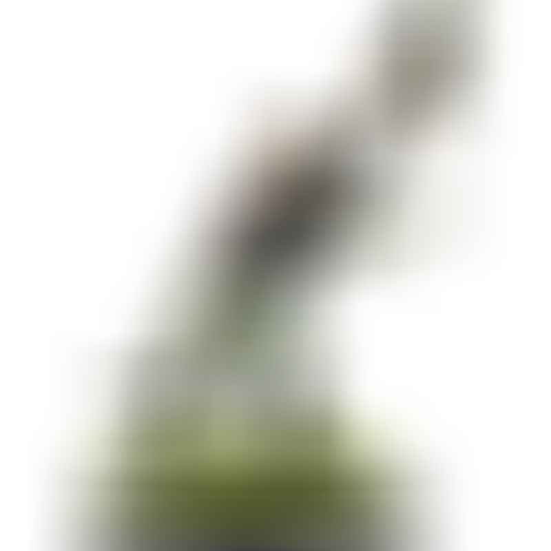 Admiral Sir Sidney Smith (GiM 46)