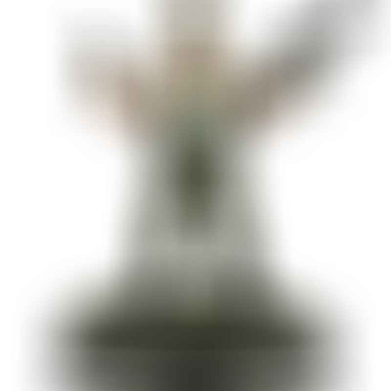 'JT' (The Survivalist) (GiM 48)