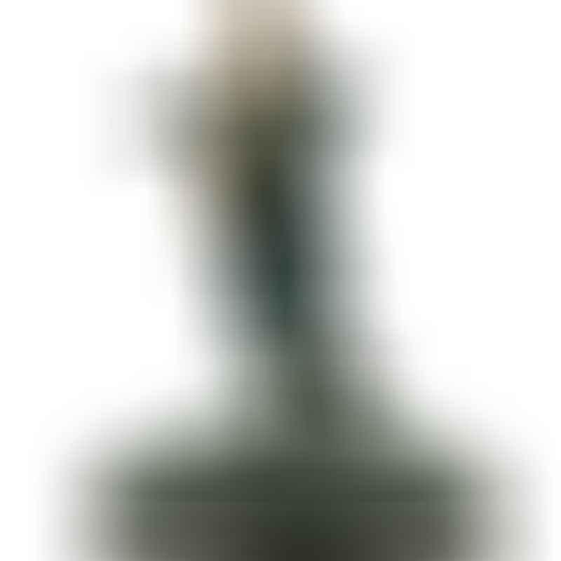 Van Helsing (GiM 49)