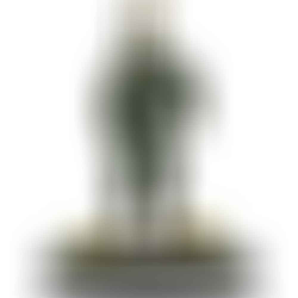 Richard 'Dick' Winters (GiM 68)